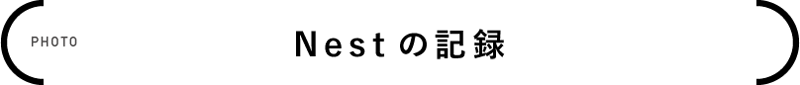 ネストの記録